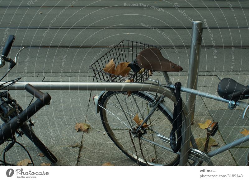 Cycling with autumn leaves in your luggage Bicycle luggage carrier Luggage rack Parking Bicycle saddle Autumn leaves Autumnal City Autumn Sidewalk