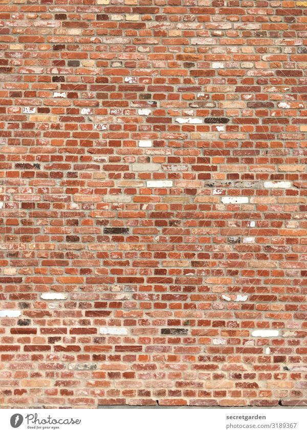 Systemically relevant speckled. Wall (building) brick Brick red Brick wall Minimalistic Copy Space Structures and shapes structural Pattern Red