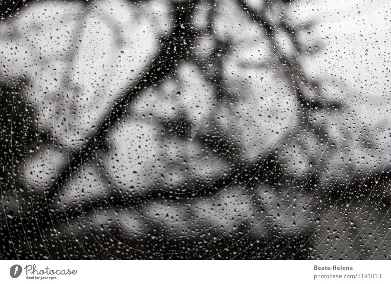 Shadow plays 2 Light and shadow shadow cast Structures and shapes Window pane raindrops Silhouette