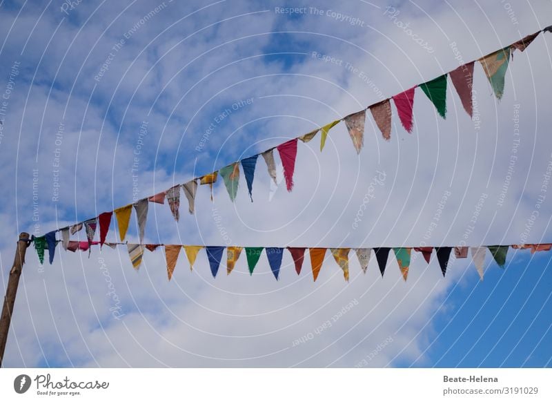 Celebratory mood 7 flag celebration Decoration pennant chain Feasts & Celebrations Event Street party Sky cloudy