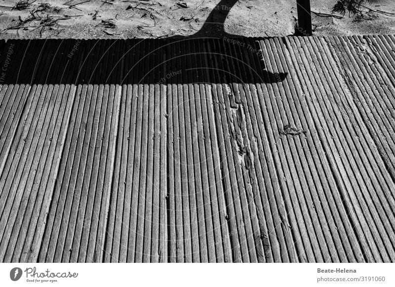 Shadow plays 1 Light and shadow shadow cast Structures and shapes natural light Bench Silhouette Contrast Mood lighting daylight Abstract