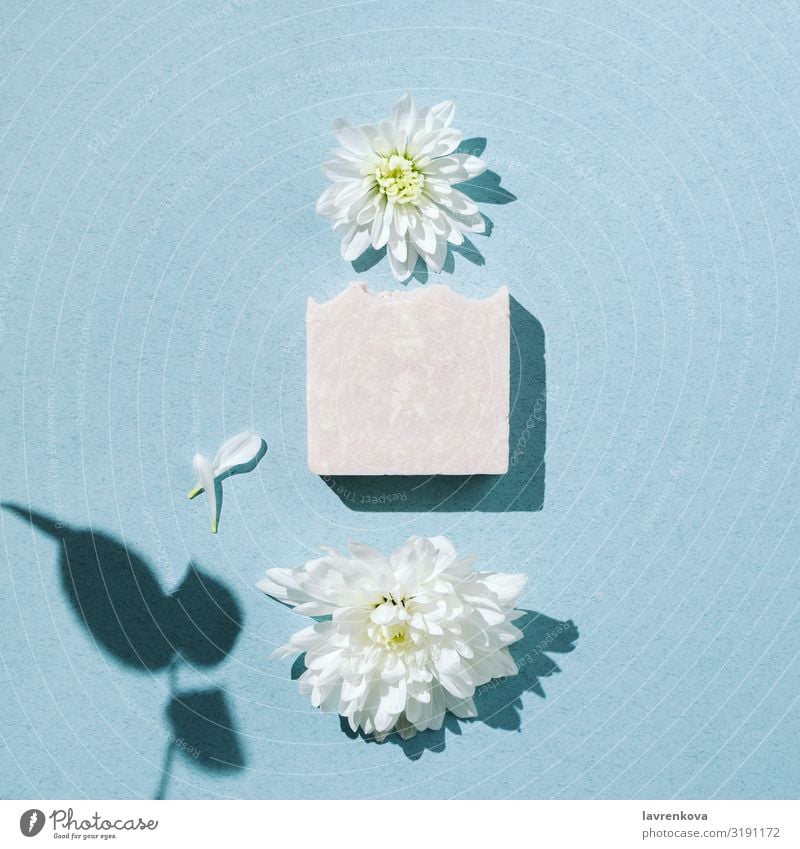 Minimalist flatlay of handmade soap with flowers and petals bars Swimming & Bathing Bathroom Beauty Photography Blossom Body Personal hygiene Chrysanthemum