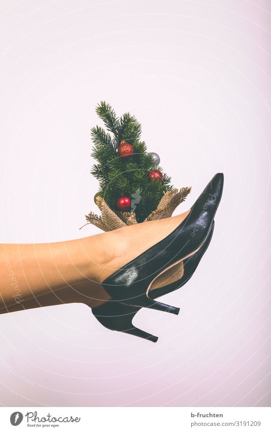 Small Christmas Tree Lifestyle Style Joy Leisure and hobbies Flat (apartment) Feasts & Celebrations Christmas & Advent Tights Footwear High heels Touch Movement