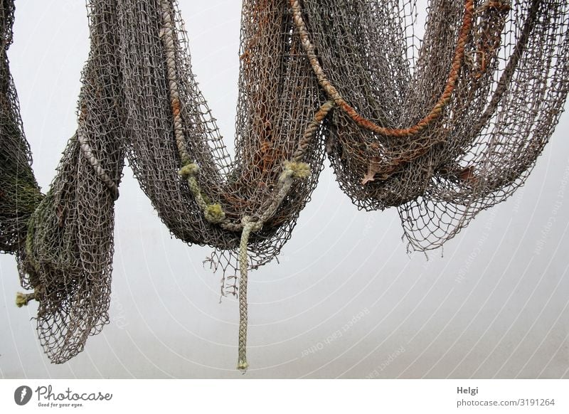 old fishing net with ropes hanging on a white wall - a Royalty Free Stock  Photo from Photocase