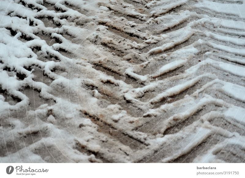tire tracks in the snow Winter Ice Frost Snow Lanes & trails Vehicle Tractor Line Stripe Skid marks Sharp-edged Cold Gray White Design Climate Mobility Nature