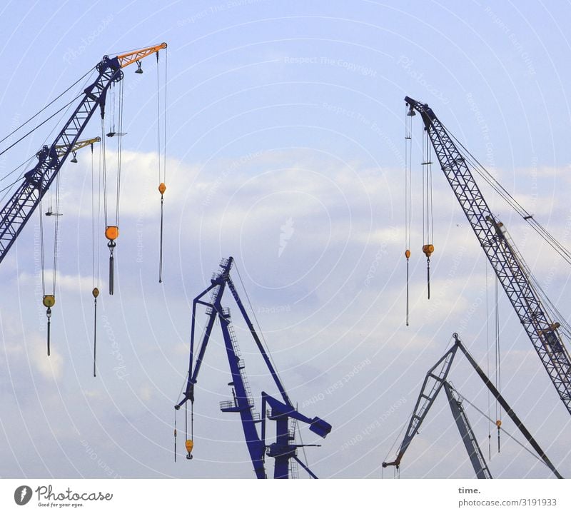 City giraffes (5) Work and employment Workplace Economy Logistics Services Technology Industry Sky Clouds Beautiful weather Crane Metal hang conceit Maritime