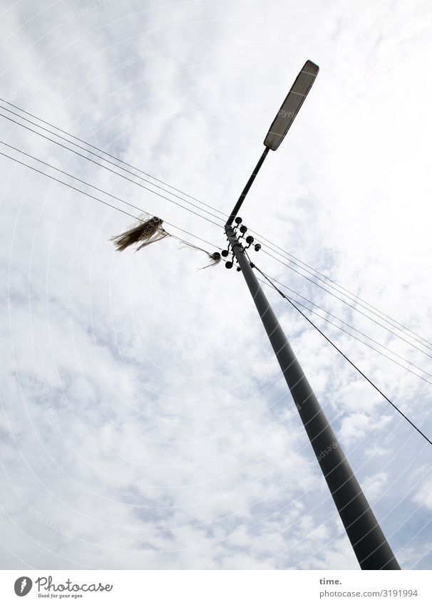 Lightbox (XIII) Energy industry Overhead line High voltage power line Cable Sky Clouds Beautiful weather Lamp Lantern Lamp post Cloth Scrap Stone Metal Line