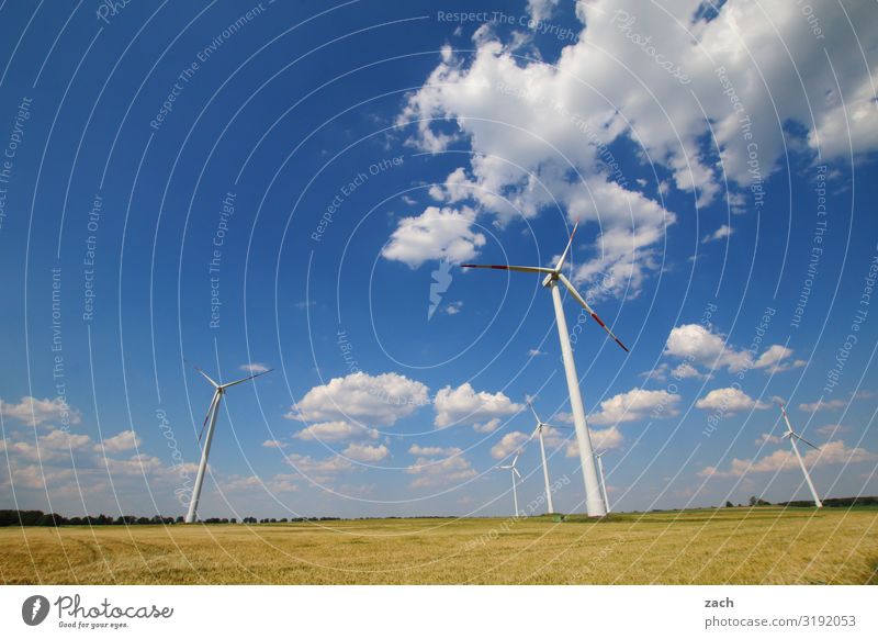 wind machines Agriculture Forestry Energy industry Renewable energy Wind energy plant Energy crisis Sky Clouds Beautiful weather Plant Grass Meadow Field