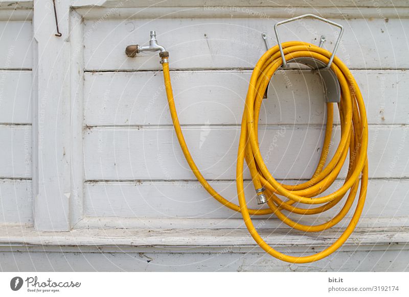 Yellow garden hose, in front of a white wall. Garden Work and employment Profession Craftsperson Gardening Water Wall (barrier) Wall (building) Facade Hang Dry