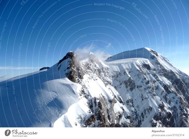 Schwarzhorn from the south Climate Climate change Beautiful weather Ice Frost Snow Hill Rock Alps Mountain Monte Rosa Peak Snowcapped peak Glacier Cool (slang)