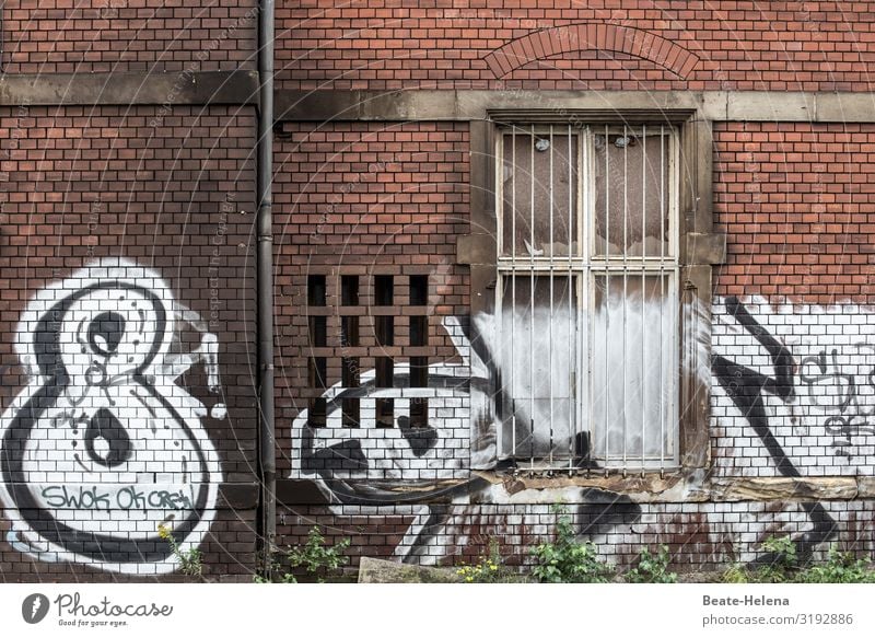 Streetlife 4 Brick facade House (Residential Structure) Window window grilles Graffiti Illustration White Dynamics