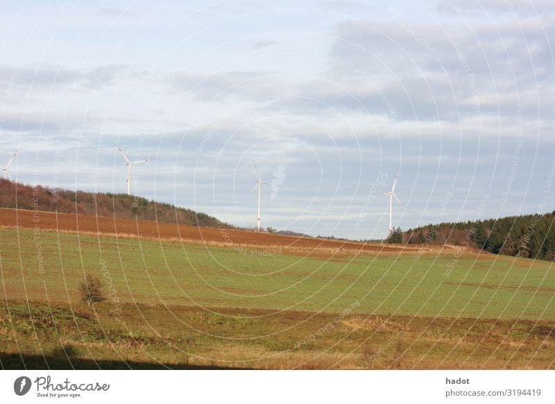 Fields and forests Grain Mountain Agriculture Forestry Nature Landscape Tree Meadow Blue Large-scale holdings Ear of corn Grain field Wheat Barley Cornfield Sky