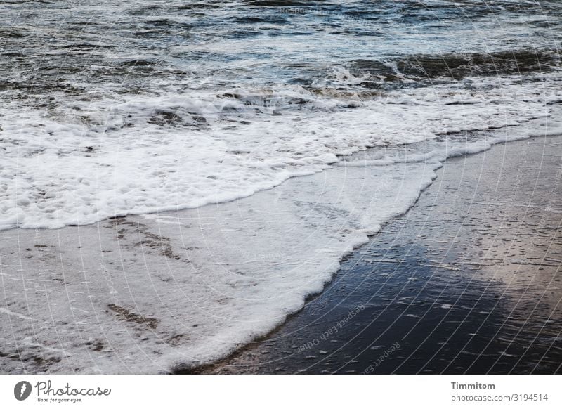 North Sea waves - rather bright Ocean Waves White crest Bright lines Double exposure Water Beach Sand Vacation & Travel Reflection Denmark Elements Blue