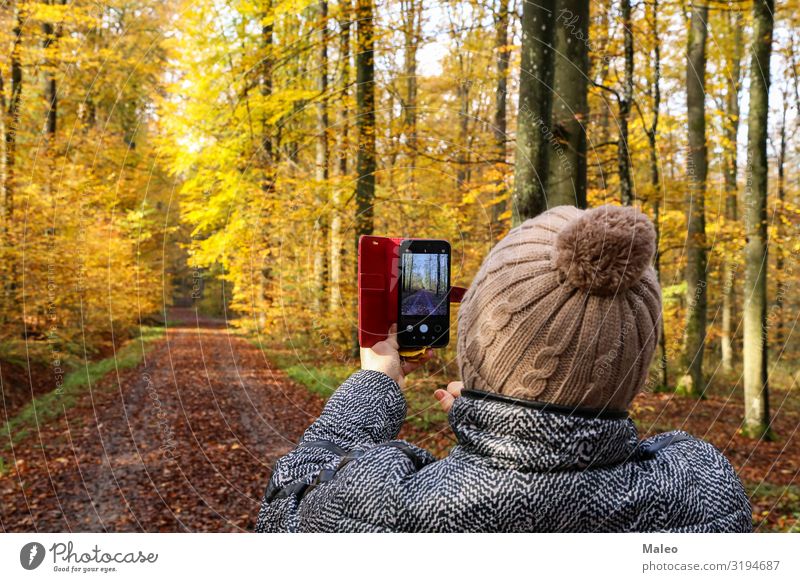 A woman photographs a beautiful autumnal forest camera Photography Beautiful Young woman Autumn Woman Nature Human being Technology Telephone Happy Cellphone