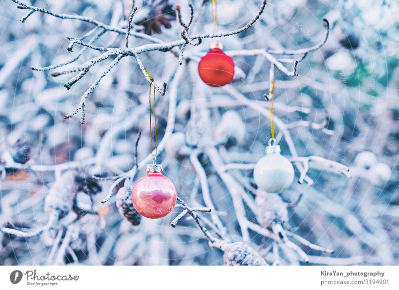 Christmas Red Glass Balls On Branches Of Tree A Royalty Free Stock Photo From Photocase