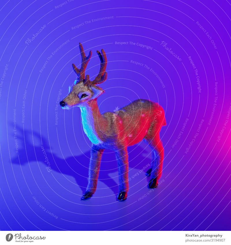 Modern deer with shadow in duotone lights Design Leisure and hobbies Decoration Christmas & Advent New Year's Eve Art Toys Glittering Bright Hip & trendy Blue