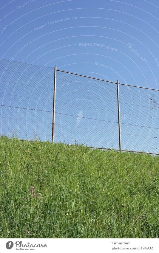 Fence high! Tall Metal Wire netting fence rods amplification Barrier Deserted Border Safety Sky Blue slope Grass Green Protection