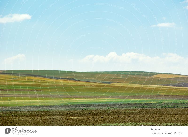 Mixed culture Agriculture Forestry Vegetable farming Landscape Sky Clouds Summer Beautiful weather Agricultural crop Field Plain Anatolia Work and employment