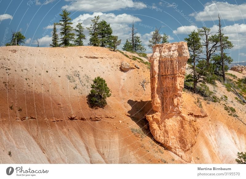 Hoodoos and a trees at the Bryce Canyon, Utah Vacation & Travel Mountain Nature Landscape Sky Park Rock Monument Stone Gold Red Serene national bryce desert