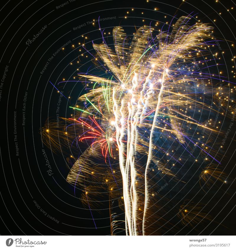 New Year's fireworks display New Year's Eve Feasts & Celebrations Glittering Illuminate Large Near Multicoloured Joy Happiness Firecracker Rocket tail