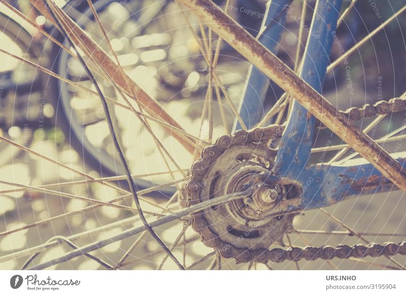 Forgotten Bicycle Cycling Old Blue Brown Bicycle chain Rust rusty turned off Colour photo Subdued colour Exterior shot Day Shadow Sunlight