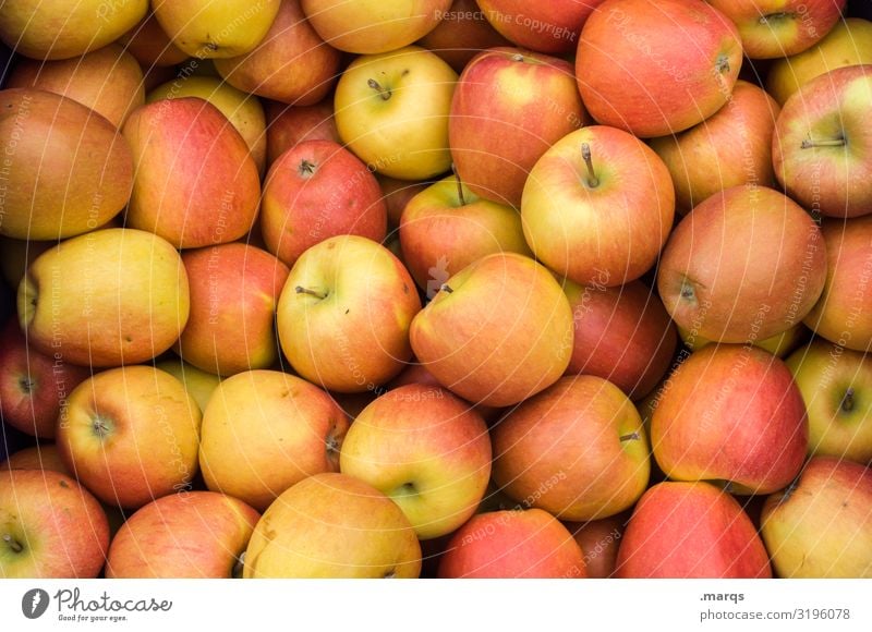 apples Food Fruit Apple Nutrition Organic produce Vegetarian diet Farmer's market Fresh Healthy Many Delicious Colour photo Exterior shot Close-up Deserted