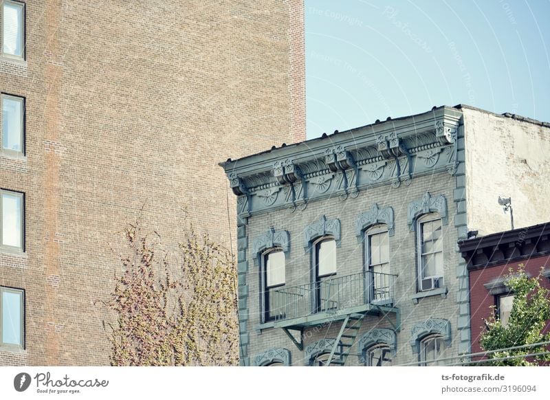 Tell me about the old days. Sky Cloudless sky Plant Tree Ivy Creeper New York City Town Downtown Old town Deserted House (Residential Structure) High-rise