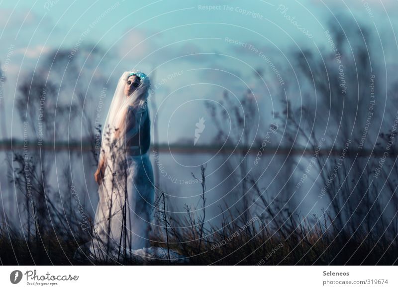 like a shy bride Ocean Winter Human being Feminine Man Adults 1 Environment Nature Landscape Sky Clouds Autumn Grass Bushes Coast Lakeside North Sea Sadness