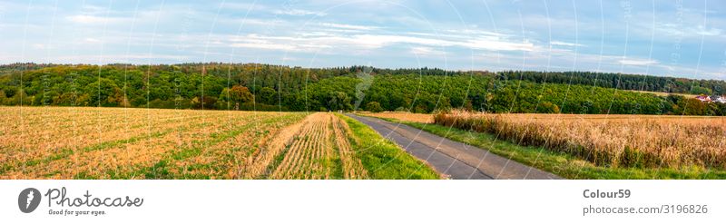 Central Hessian Landscape Summer Agriculture Forestry Nature Beautiful weather Field To enjoy Yellow Contentment Relaxation Europe Background picture panorama
