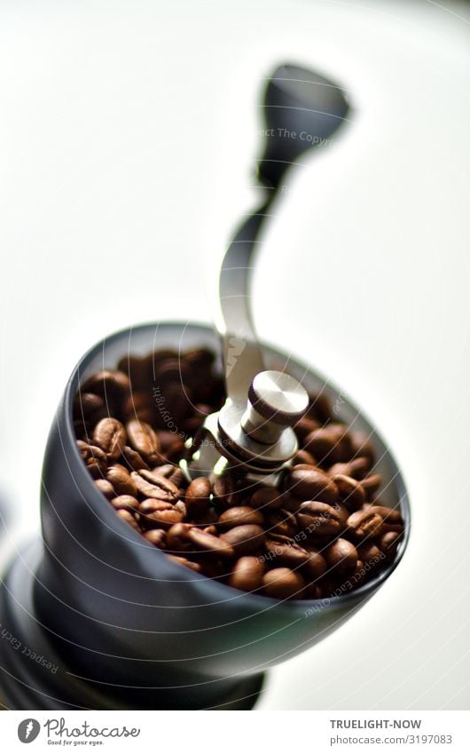 Coffee beans in a Japanese hand mill Food Nutrition Breakfast To have a coffee Organic produce Beverage Coffee grinder Lifestyle Style Design Exotic Joy