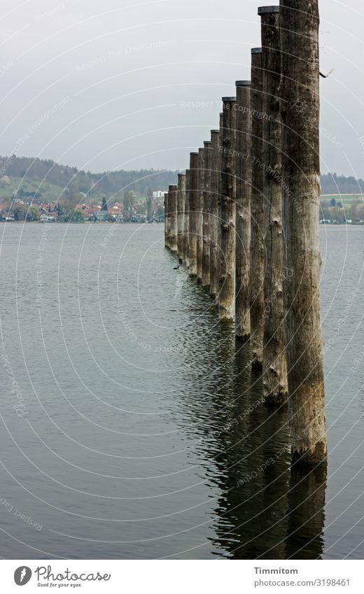 AST 7 | Measuring rods (or so) Vacation & Travel Environment Nature Landscape Water Hill Lake Lake Constance Pole Wood Natural Blue Brown Gray Black