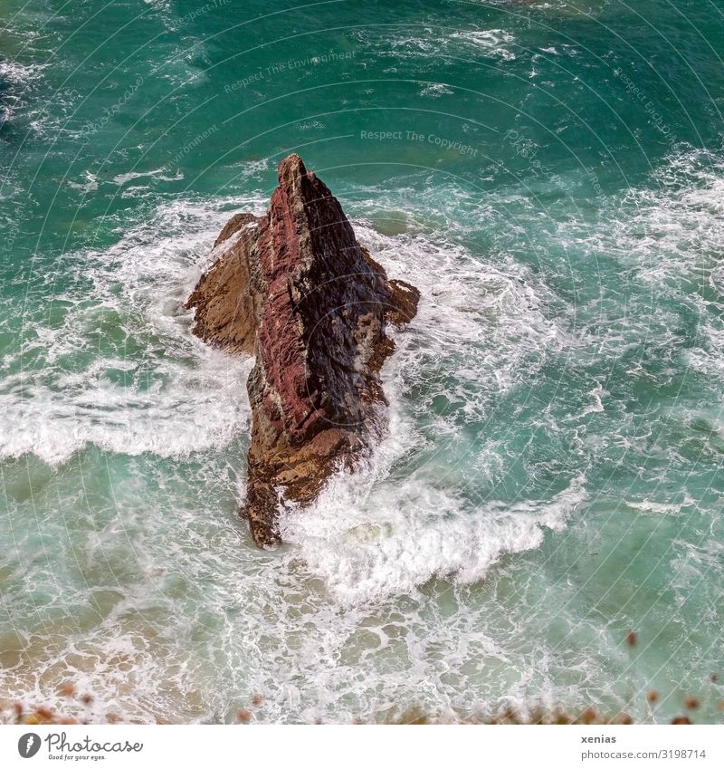 The stony rock in the white waves Ocean Waves Water Vacation & Travel Beautiful weather coast Bay Surf butterholes Cornwall England Maritime Blue Brown White