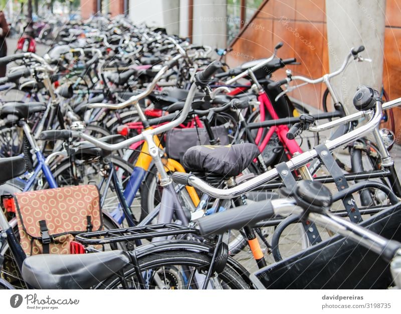 Detail of bikes parked in the street Lifestyle Beautiful Leisure and hobbies Vacation & Travel Sports Culture Transport Street Vehicle Metal Steel Old Black