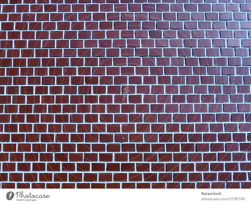 brick wall House building Architecture Manmade structures Wall (barrier) Wall (building) Brick Build Brown Red Protection Calm Style Brick wall Facade