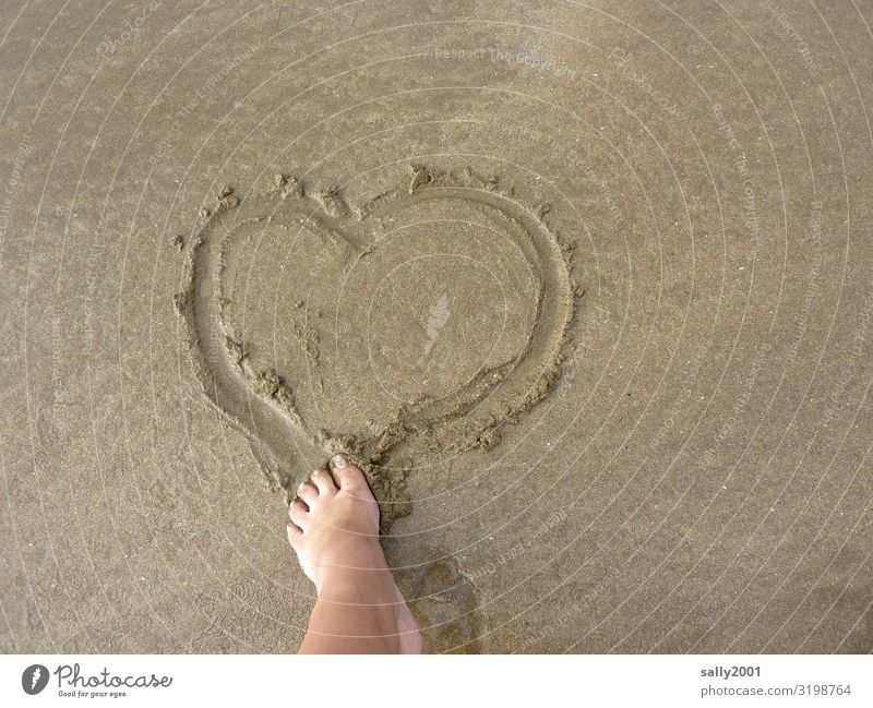 amorous Feet Toes Beach Sign Heart Rutting season Love Dream Happy Joie de vivre (Vitality) Infatuation Romance Emotions Communicate Transience Sand Sandy beach