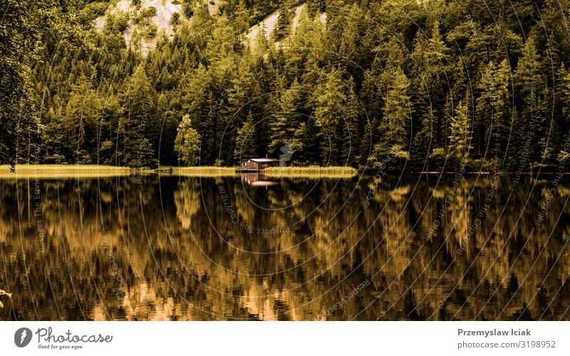 View of wooden cottage in green pine forest by the blue lake in rural summer Austria, Leopoldsteinersee Summer background cabin coast countryside dock europe