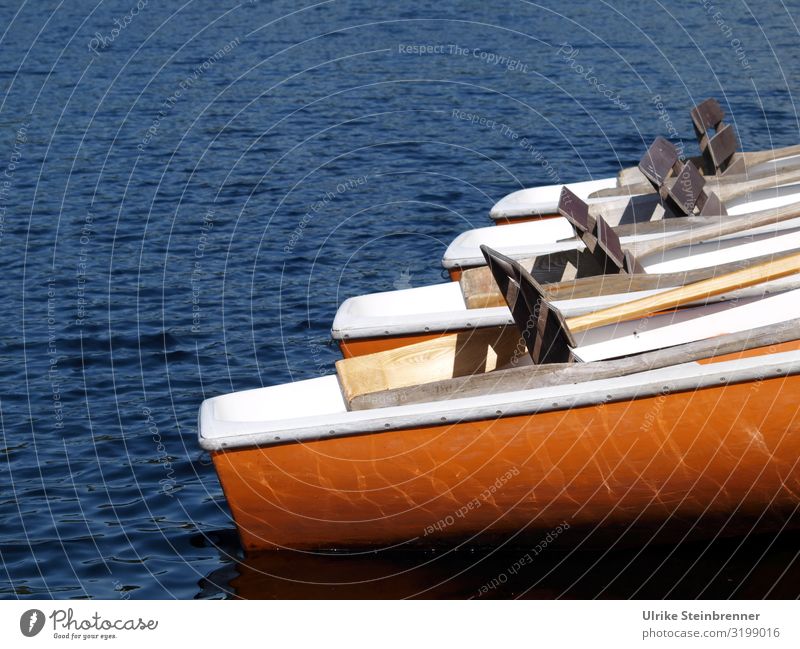 Sterns of four rowing boats on the lake Vacation & Travel Tourism Trip Summer vacation Nature Beautiful weather Waves Lake Deserted Navigation Inland navigation