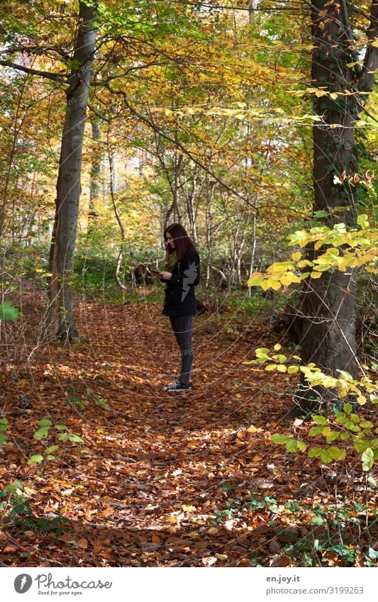 no reception Young woman Youth (Young adults) 1 Human being Environment Nature Landscape Autumn Beautiful weather Leaf Deciduous forest Autumn leaves Autumnal