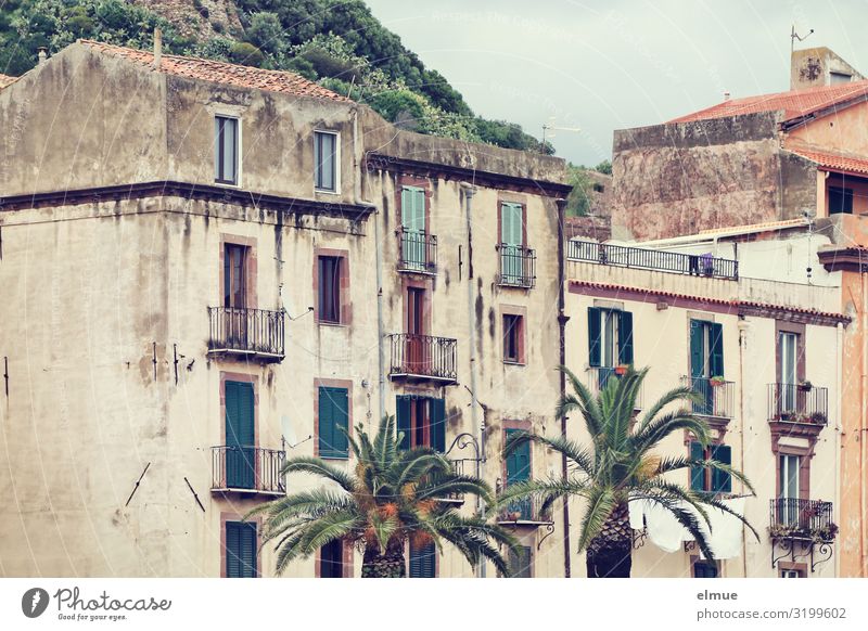 Living in the countryside Vacation & Travel Palm tree Italy Italian Sardinia pink Small Town House (Residential Structure) Facade Balcony Old Authentic Historic
