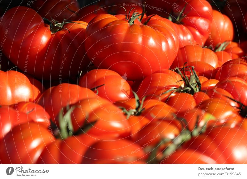 tomatoes Food Vegetable Fruit Nutrition Organic produce Vegetarian diet Fresh Healthy Glittering Round Juicy Clean Green Red Diet Vegan diet Tomato Colour photo