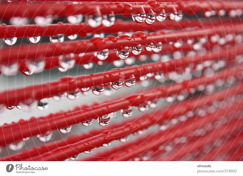 bad weather Water Drops of water Rain Rope Line Wet Red Colour photo Exterior shot Pattern Shallow depth of field