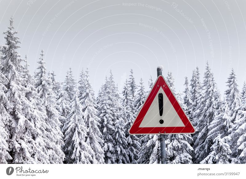 Attention Winter Nature Landscape Snow Coniferous trees Coniferous forest Treetop Forest Sign Signs and labeling Road sign Exclamation mark Cold Climate Caution