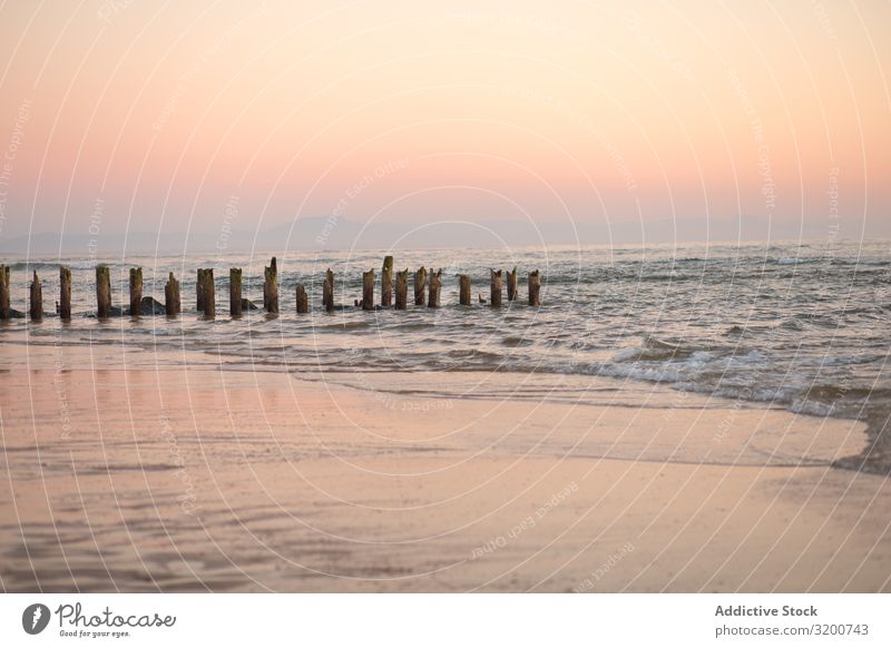 Calm sea on background of pink sky Ocean Pink Sky Peaceful Water seaside Colour Horizon Vantage point Picturesque Landscape Nature Beach Beautiful Serene Coast