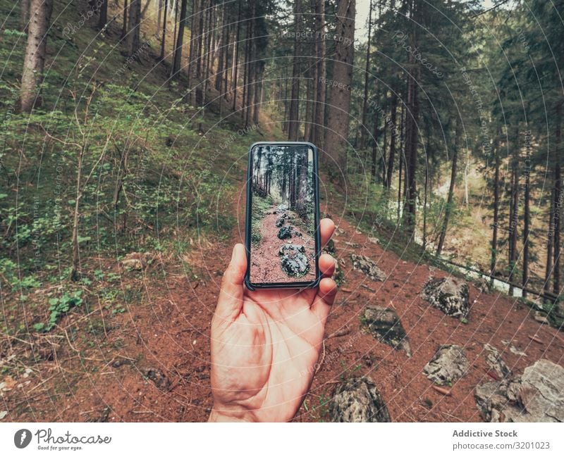 Hiker taking photo while walking in forest hiker Forest Walking traveller Take a photo Picturesque Footpath Alps Dolomites Italy Lifestyle PDA Technology