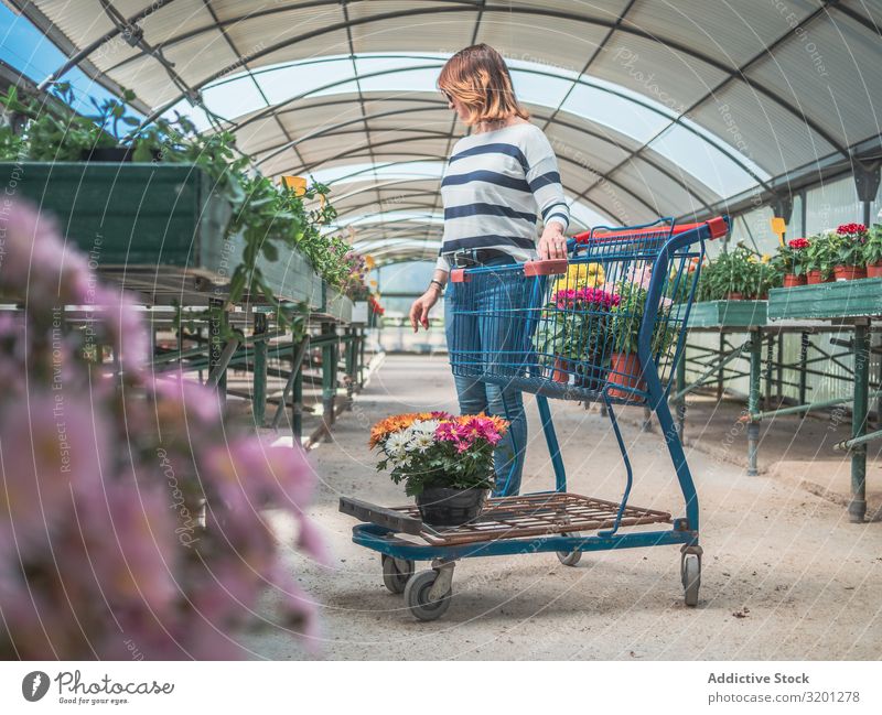 Female customer with cart on flower market Woman Flower Cart Shopping Plant Markets Greenhouse Gardening Adults Human being Pensive Customer Stand Think