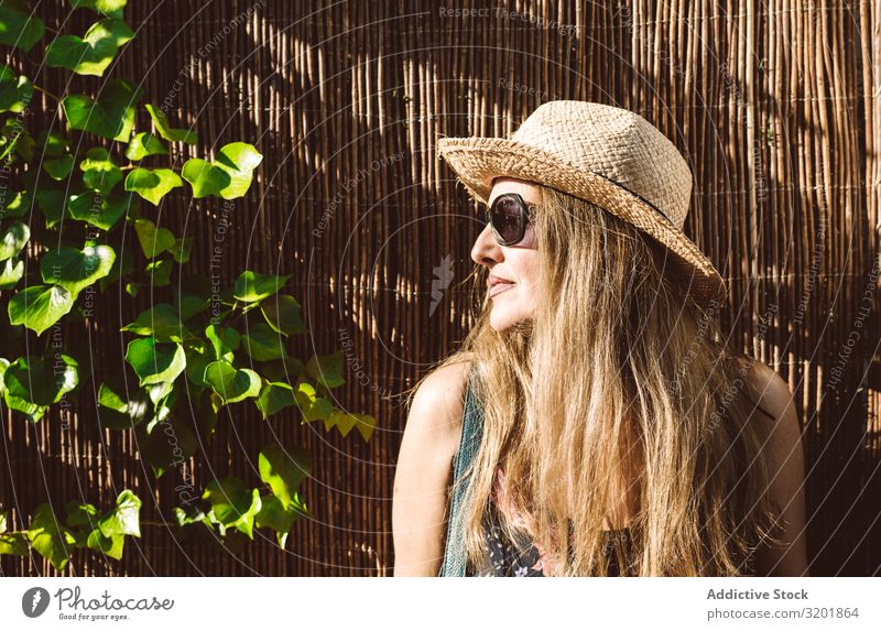 Adult woman sitting with sunglasses Woman Adults Summer Portrait photograph Dream romantic Twig Plant Tree Wood Lean Beautiful Style Loneliness Inspiration