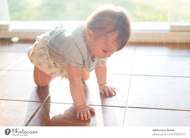 Baby with nipple in mouth crawling on all fours on floor Nipple Crawl Small babyhood Cute Playing Joy exploring Beautiful Cheerful Infancy Discovery pretty