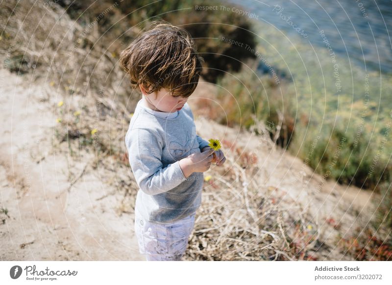 Child looking at flower in hands in mountains with interest Small Flower Sand Mountain babyhood Cute Playing Joy exploring Beautiful Cheerful Infancy Discovery