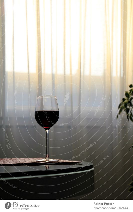 Quiet afternoon and red wine Alcoholic drinks Wine Red wine Glass Relaxation Calm Drinking Serene Leisure and hobbies Afternoon Afternoon sun Colour photo