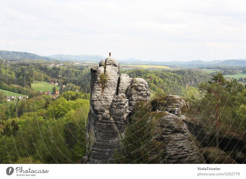 Bastei, Saxon Switzerland, Monk Relaxation Vacation & Travel Tourism Trip Far-off places Freedom Mountain Hiking Nature Landscape Sky Spring Summer Tree Forest